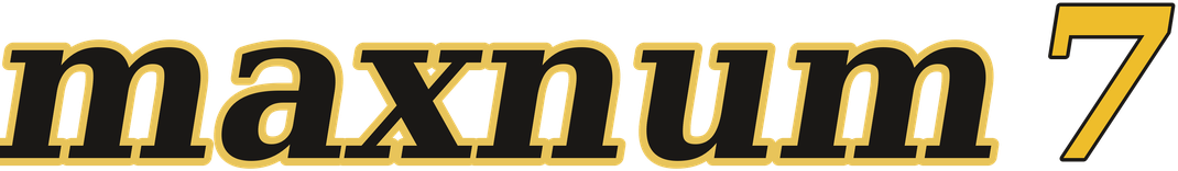 maxnum7 โลโก้